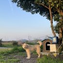 노을 게스트하우스 이미지