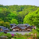 도산서원길(도산면) 이미지