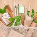 그린테일(GREENTAIL) 이미지