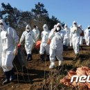 전북양계축협