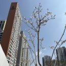 연세미즈산부인과의원 이미지