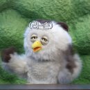딩동댕 - 순천시 장평안길 28 | 딩동댕