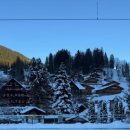 자연들마트 이미지