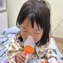 슬기로운유라생활 네이버블로그