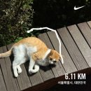 효령로49길 57 (6) | [일상] 세상 밖순이의 미친듯이 알찬 10월 황금연휴 일상_우래옥/집들이/양평 촌캉스