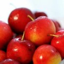 올데이피티 이미지