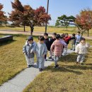 11월 6일 대구대학교 디녀왔습니다 4. 이미지