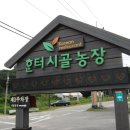 한터농장 이미지