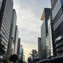 베러라이프 - 양천구 | 서울 강남역 가볼 만한 곳 올리브베러 추천 후기