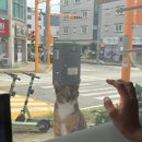 인동15길-6 | 코다리찜이 맛있는 구미 한식 맛집 "코다리찜마을 "