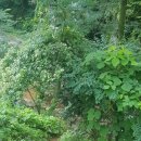 기성계곡 이미지