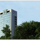 영남대학교 이미지