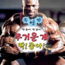 러비 - 동구 중앙대로296번길 3-3 | [장안동샐러드맛집] 가성비 좋은 샐러드,포케 '샐러드러비(SALAD LOVEY)' 후기