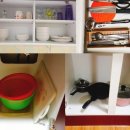 골드하우스 펜션 이미지