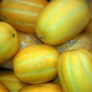 현이네 농장 이미지