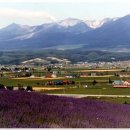 국철농장 이미지