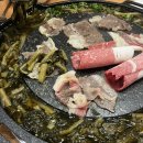 지웰비타민약국 | 청주 지웰시티 맛집 따봉시래기 청주복대점 시래기 차돌쌈