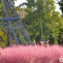 인천경서동녹청자요지 이미지