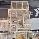 라온키즈 태권도장 이미지