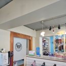 두산이네 애견샵 이미지