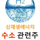 디에스그린 이미지