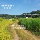 광천농장 이미지