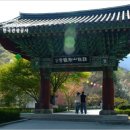 서경민박 이미지