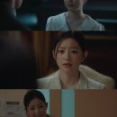 채랑 스포츠경향