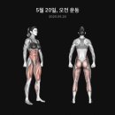 오늘의 운동 이미지