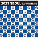 2023서울 마라톤 결과 이미지