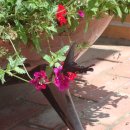 전북대학교 치의학전문대학원 이미지