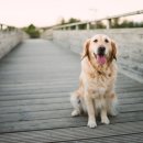 티앤디 동물병원 이미지