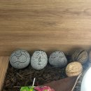 KS프리미어빌딩 | [개봉역 미용실] 아무곳이나 갔는데 레이어드 컷 맛집이었던 “이가자 헤어비스” 내돈내산 후기