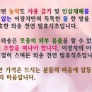 해동와송 이미지