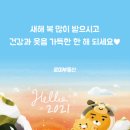 로미공인중개사사무소 이미지