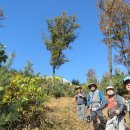 절고개공원 이미지