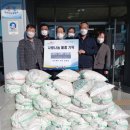 파도복어 이미지