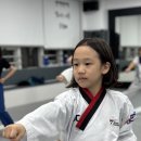 TL태권도 이미지