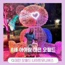 버드벨리 | 6살 아이랑 대전 오월드 나이트유니버스 야간개장 방문 후기(놀이기구/사파리/버드랜드/불꽃놀이)