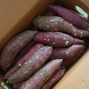 2025.10.24~10.31 고구마, 만둣국, 미역국밥, 붕어빵, 월동준비, 뮤지컬 한복 입은 남자 티켓팅