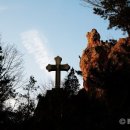 부산생명의숲