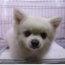 가야지구대 이미지