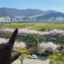 파스쿠찌(강서점) | 대저생태공원 카페 파스쿠찌 강서점, 부산 대저생태공원 근처 카페 중 3층 뷰 끝판왕!