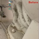 👍 찐 후기 클린업의 욕실 청소 현장 (단독주택,중산동)