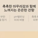 화이트블랑 이미지