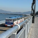 오동도 | [전남 여수] 날씨가 다 한 오동도 방문기(포토스팟, 동백열차, 동백꽃 만개시기 등)