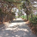 홍릉초교 이미지