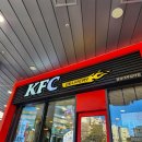 KFC 뒤　 | KFC 메뉴 할인 쿠폰 칼로리 가격 징거더블다운통다리 세트 내돈내산 후기