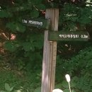꽃진관 이미지