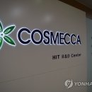 대해코리아 이미지